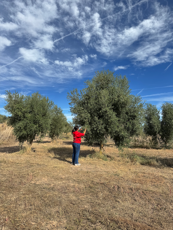 comunicación auténtica para marcas rurales